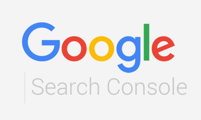 come utilizzare google search console